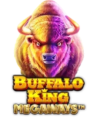 Buffalo King – Spielmotiv